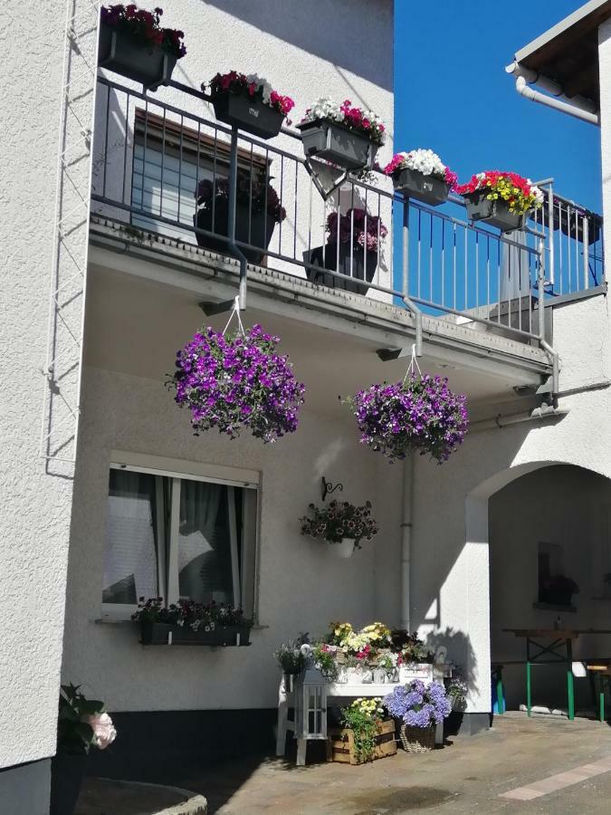 Ferienwohnung-Kiefer Hillscheid Exterior photo